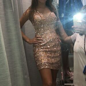 Shell Sequin Embellished Dress